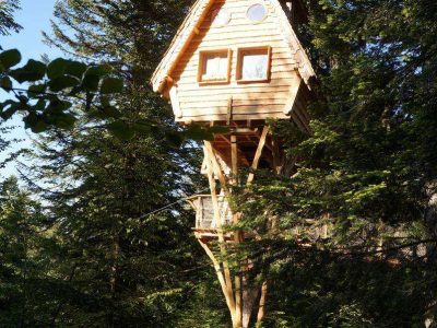 Cabane perchée en bois dans les arbres, entourée dune forêt verdoyante en Auvergne.