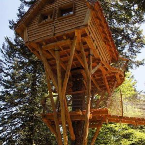 Cabane perchée en bois dans les arbres, entourée de verdure en Auvergne.