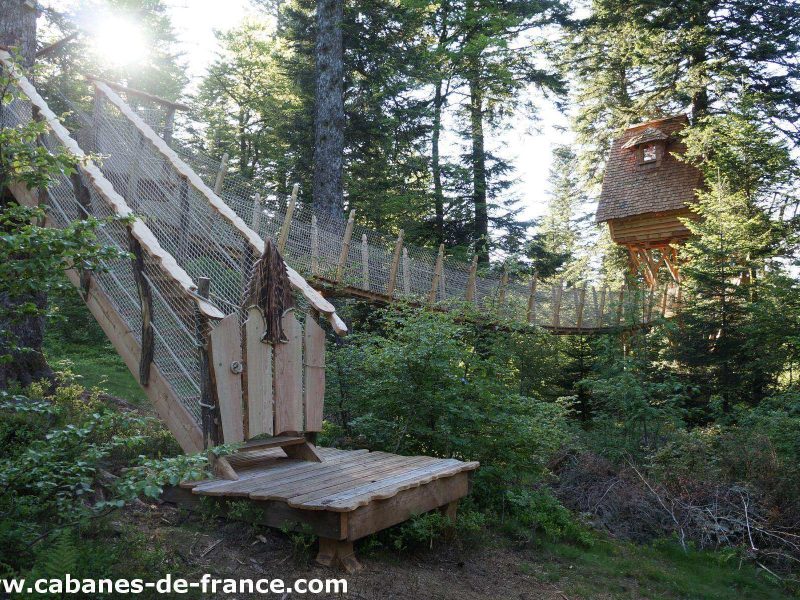 Cabane dans les arbres en Auvergne, perchée au milieu des sapins verdoyants.