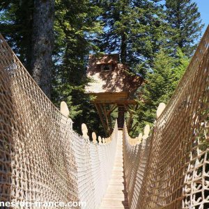 Cabane perchée en Auvergne, accessible par un pont suspendu en bois.