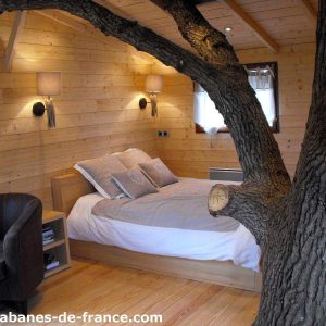 Cabane en bois dans les Pays de la Loire, avec un arbre traversant la chambre.