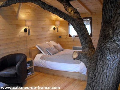 Cabane en bois dans les Pays de la Loire, avec un arbre traversant la chambre.