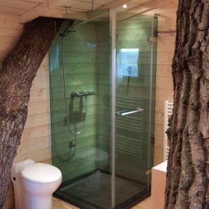 Cabane en bois avec douche vitrée intégrée entre deux troncs darbre.