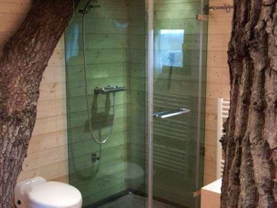 Cabane en bois avec douche vitrée intégrée entre deux troncs darbre.