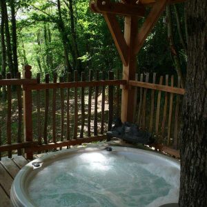 Hébergement insolite en Aquitaine avec jacuzzi en bois, entouré de verdure.