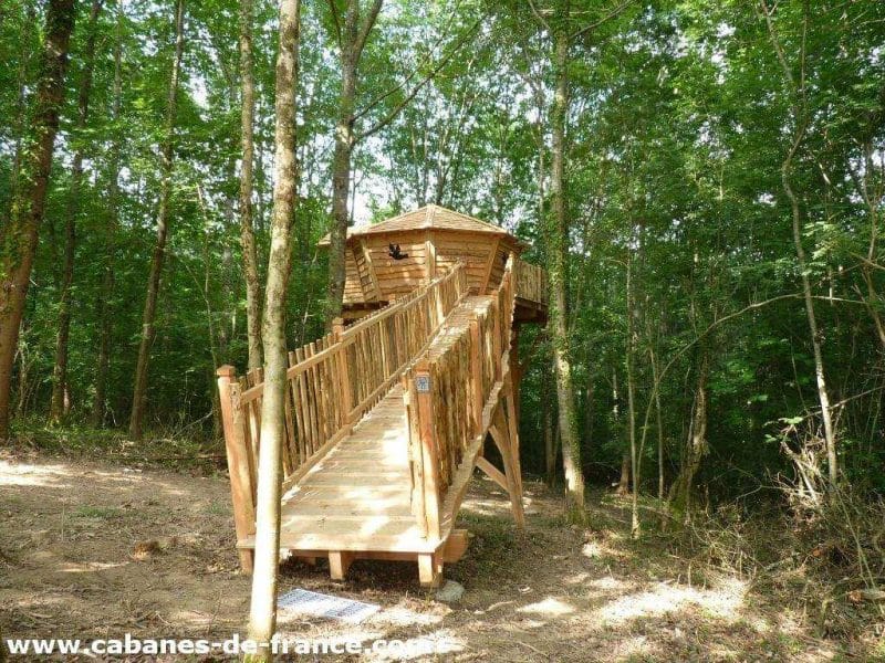 Cabane dans les arbres en Aquitaine, perchée au milieu dune forêt verdoyante.