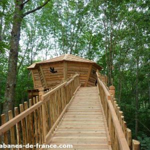 Cabane perchée en bois, accessible par un chemin en bois, entourée darbres verdoyants.