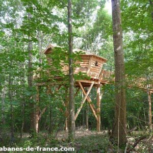 Cabane perchée en bois, entourée darbres verdoyants en Aquitaine.