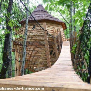 Cabane perchée en bois avec un toit en chaume, accessible par un pont suspendu.