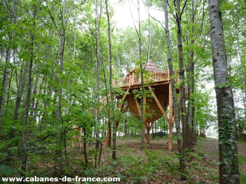Cabane perchée en bois, entourée darbres verdoyants en Aquitaine.