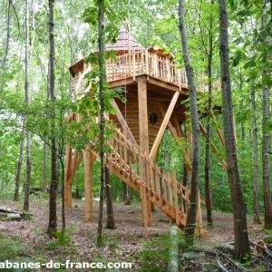 Cabane perchée en bois dans les arbres, entourée dune forêt verdoyante.