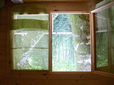 Cabane en bois avec vue sur la nature à travers une grande fenêtre.