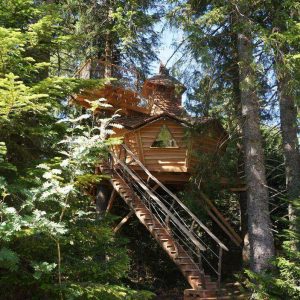Cabane perchée en bois au cœur des arbres, offrant une vue imprenable sur la nature.
