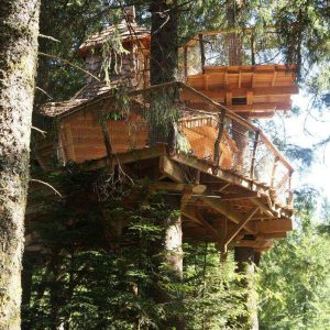 Cabane perchée dans les arbres en Auvergne, entourée de verdure luxuriante.