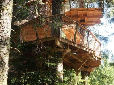Cabane perchée dans les arbres en Auvergne, entourée de verdure luxuriante.