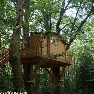Cabane dans les arbres en Midi-Pyrénées, perchée au cœur dune forêt verdoyante.