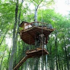 Cabane perchée dans les arbres, entourée dune verdure luxuriante en Champagne-Ardenne.