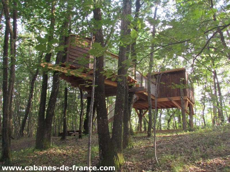 Cabane perchée en bois, entourée darbres verdoyants en Auvergne-Rhône-Alpes.