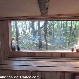 Cabane en bois avec grande fenêtre offrant une vue sur la forêt verdoyante.