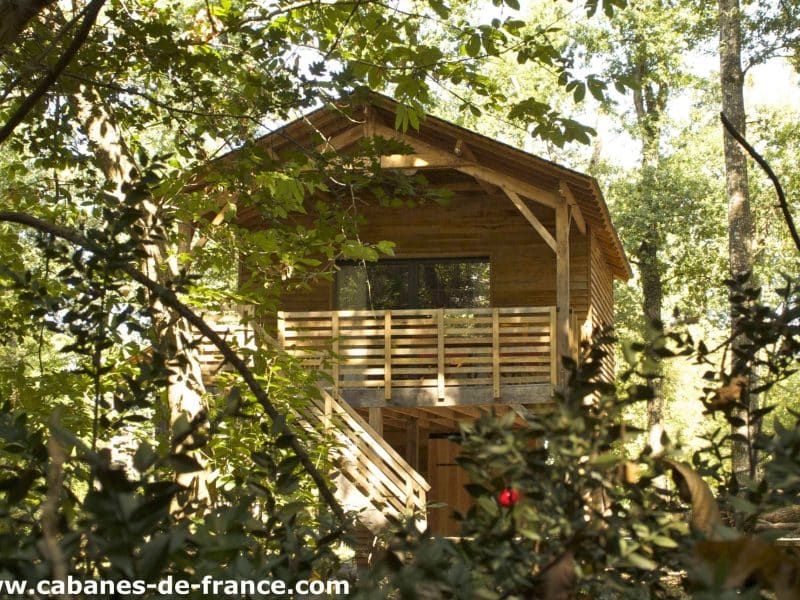 Cabane en bois perchée, entourée darbres, offrant un cadre naturel apaisant.