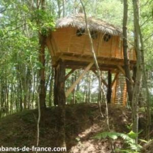 Cabane perchée en bois dans les arbres, entourée de verdure luxuriante.