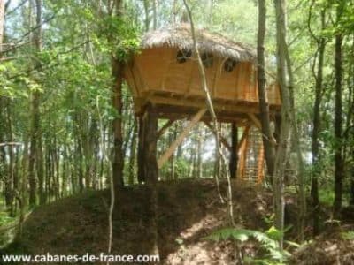 Cabane perchée en bois dans les arbres, entourée de verdure luxuriante.