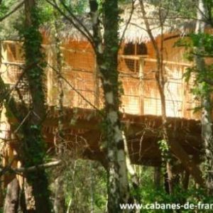 Cabane dans les arbres en Pays de la Loire, perchée au milieu des feuillages verdoyants.