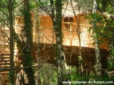 Cabane dans les arbres en Pays de la Loire, perchée au milieu des feuillages verdoyants.
