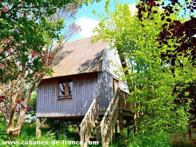 Cabane en bois perchée, entourée de verdure luxuriante et darbres.