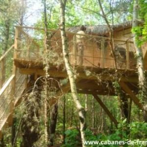 Cabane perchée dans les arbres, entourée de verdure, avec accès en escaliers.
