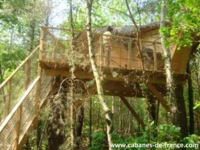 Cabane perchée dans les arbres, entourée de verdure, avec accès en escaliers.
