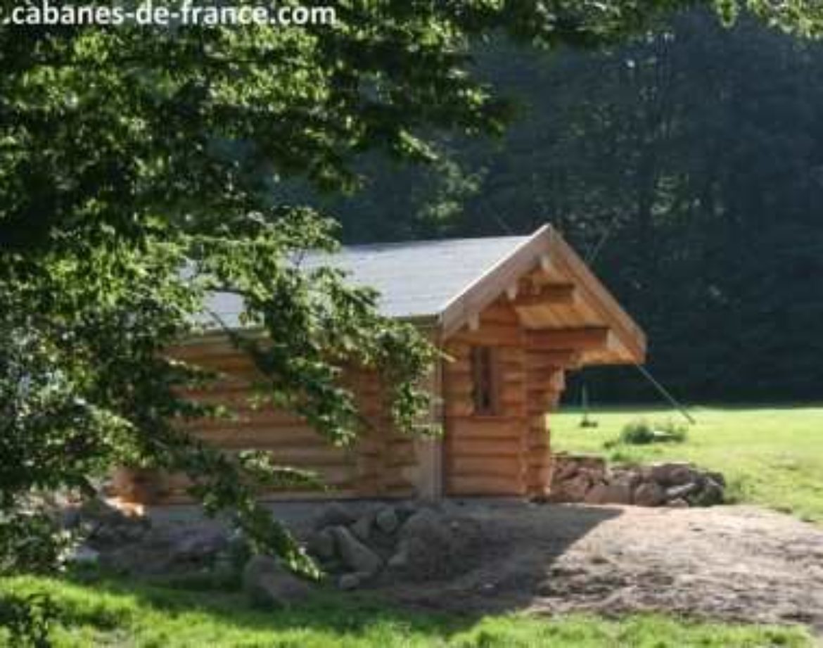 Cabane en bois dans la nature, entourée darbres verdoyants à Grand-Est.
