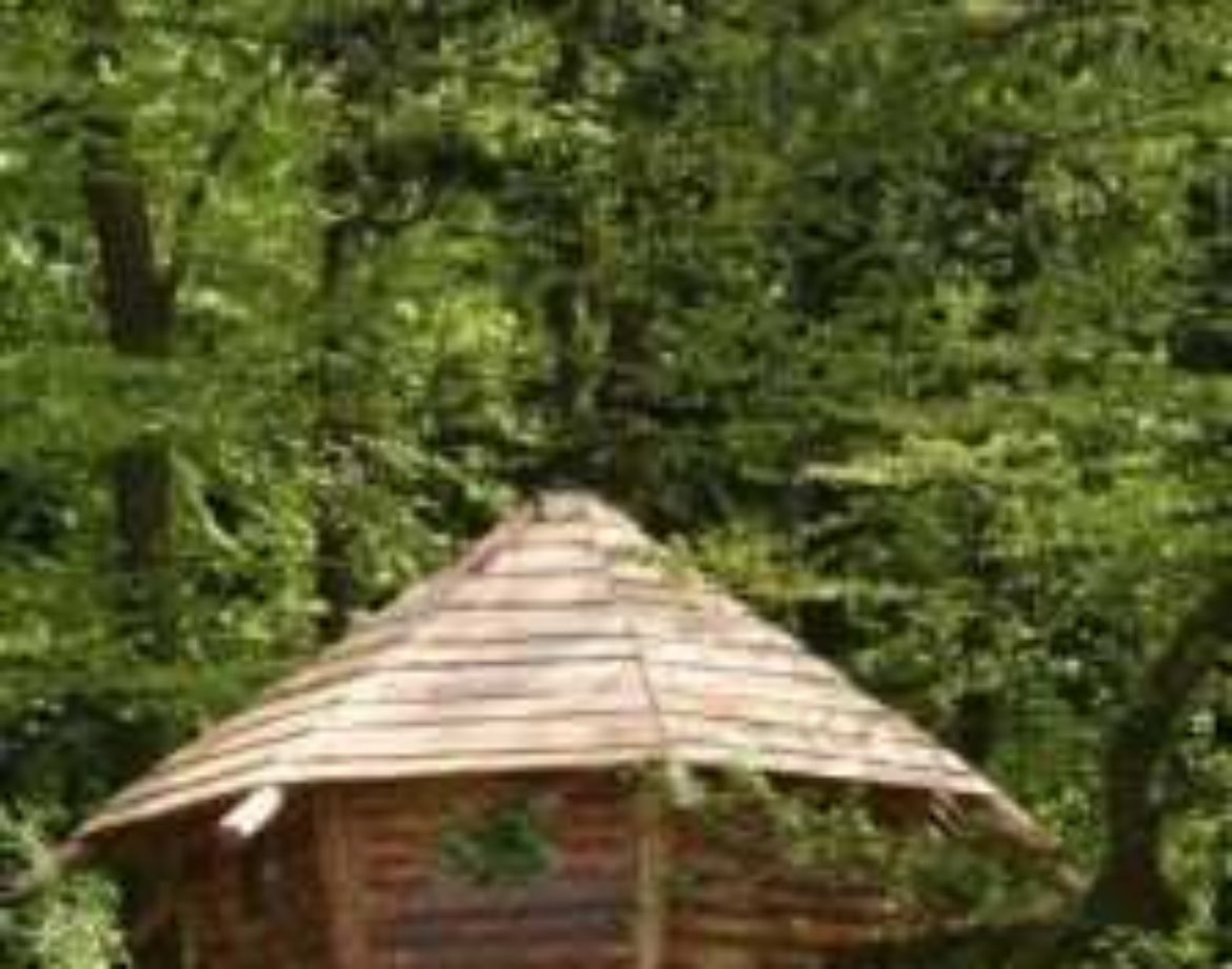 Cabane perchée en bois, entourée dune verdure luxuriante dans le Grand-Est.