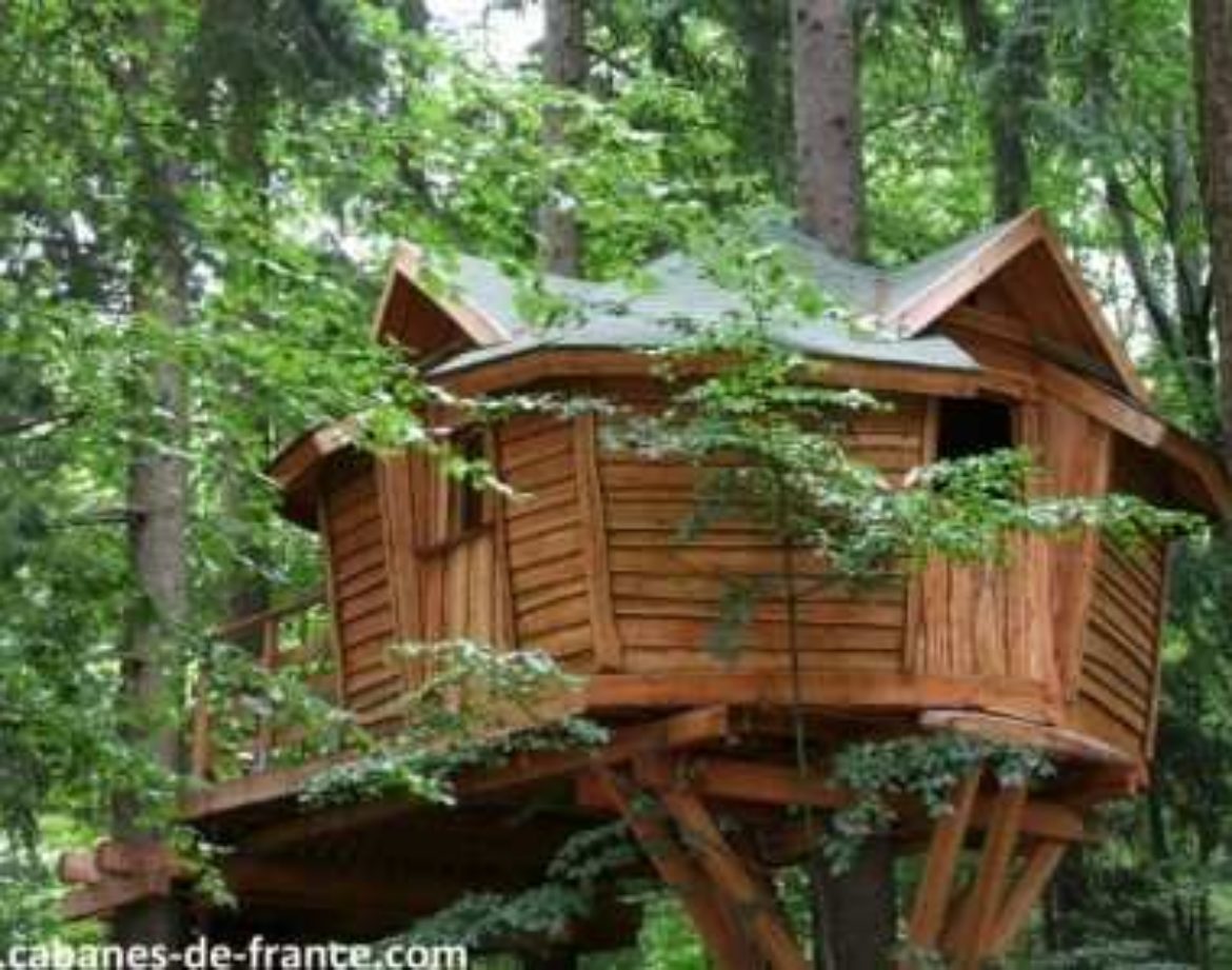 Cabane perchée en bois, entourée darbres verdoyants dans le Grand-Est.