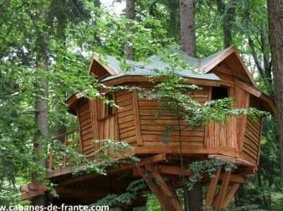 Cabane perchée en bois, entourée darbres verdoyants dans le Grand-Est.