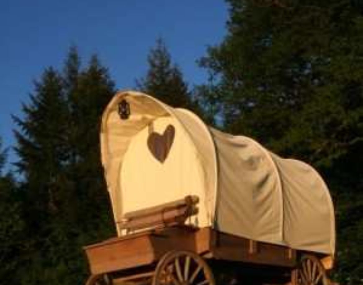 Charmante roulotte en bois avec un cœur découpé, nichée dans la verdure du Grand-Est.