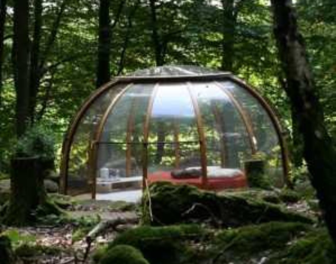 Cabane en verre dans les arbres, entourée de verdure luxuriante à Grand-Est.
