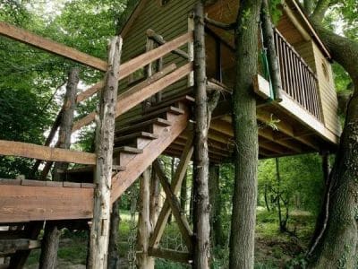 Cabane dans les arbres à Champagne-Ardennes, perchée entre les branches verdoyantes.