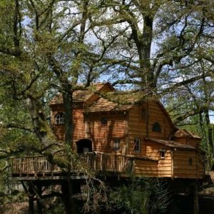Cabane perchée dans les arbres, en bois, entourée de verdure au Limousin.