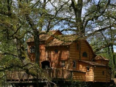 Cabane perchée dans les arbres, en bois, entourée de verdure au Limousin.
