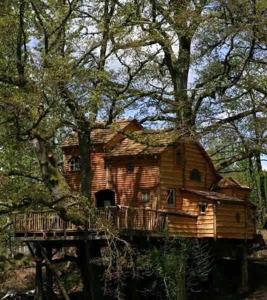 Cabane perchée dans les arbres, en bois, entourée de verdure au Limousin.