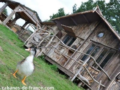 Cabane en bois dans le Limousin, avec un canard en premier plan.