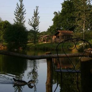 Cabanes en bois au bord dun étang, entourées darbres verdoyants à Limousin.