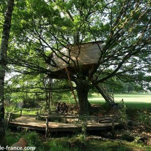 Cabane perchée dans un arbre, entourée de verdure et dune terrasse en bois.