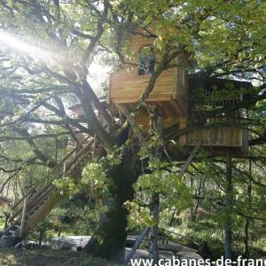 Cabane dans les arbres au Limousin, perchée entre les branches verdoyantes.