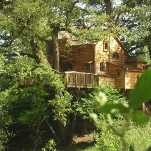 Cabane perchée en bois dans les arbres, entourée de verdure luxuriante à Limousin.