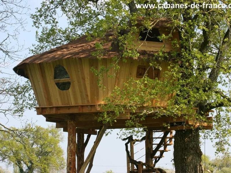 Cabane perchée en bois, entourée darbres, offrant une vue imprenable.
