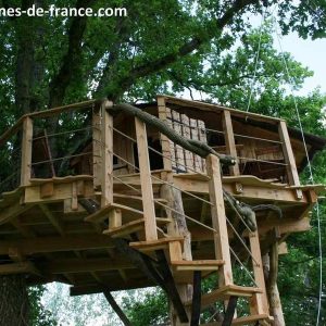 Cabane dans les arbres à Pays de la Loire, perchée entre les feuillages verdoyants.