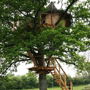Cabane dans un arbre à Pays de la Loire, perchée et entourée de verdure.
