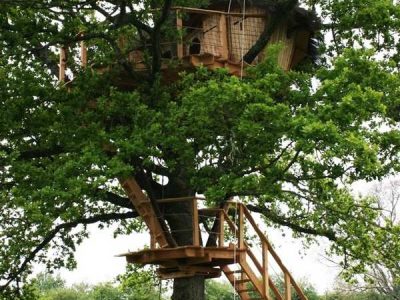 Cabane dans un arbre à Pays de la Loire, perchée et entourée de verdure.